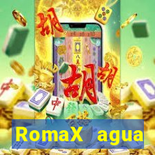 RomaX agua sanitaria fispq agua sanitaria romax